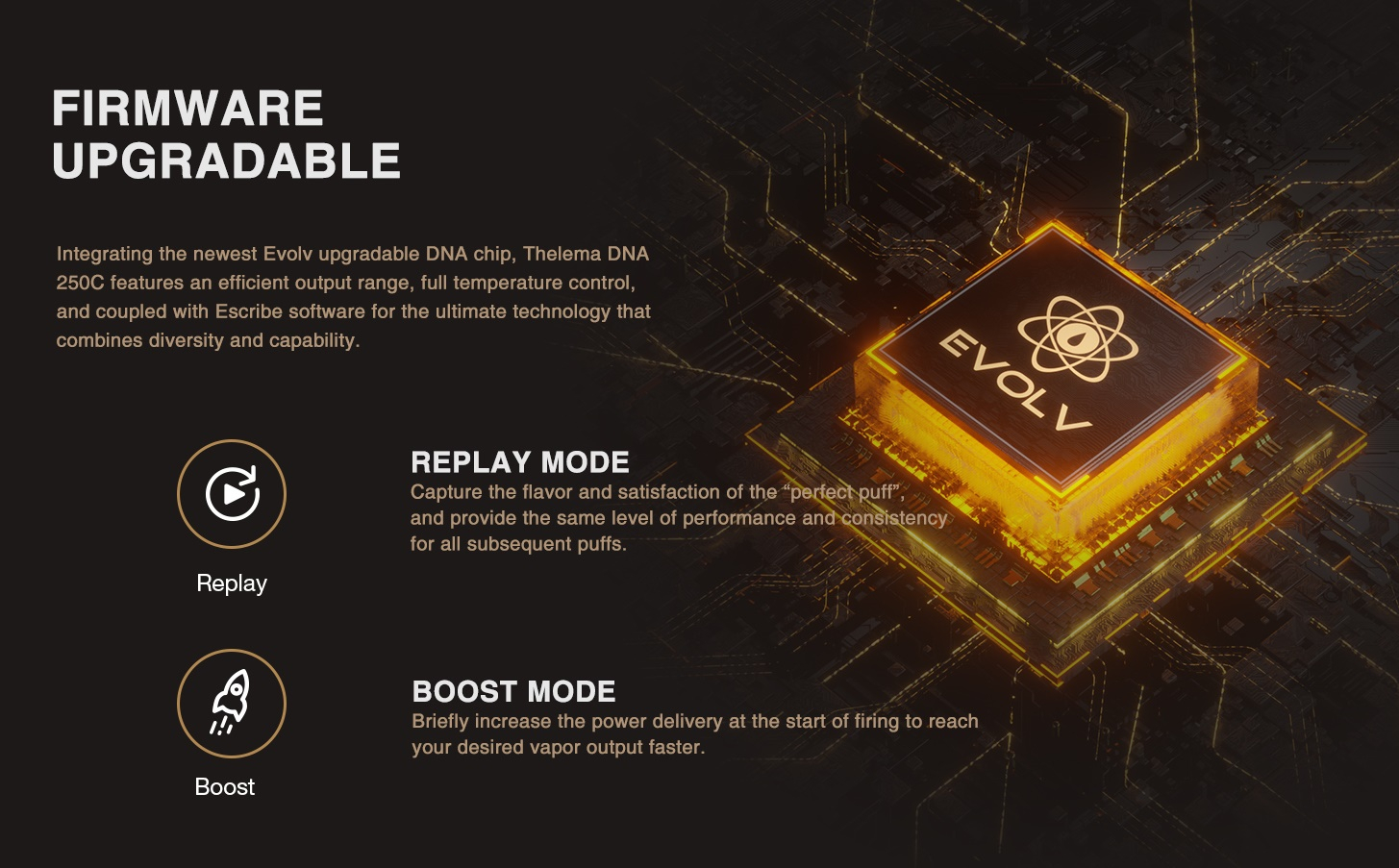 Lost Vape Thelema DNA250C Mod verbauter Chip